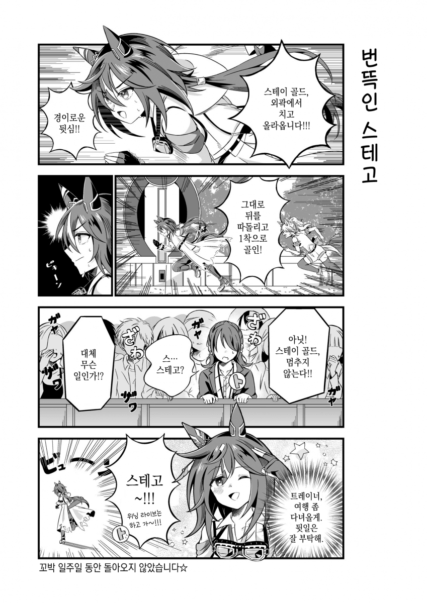 [CoCo] 번뜩인 스테고