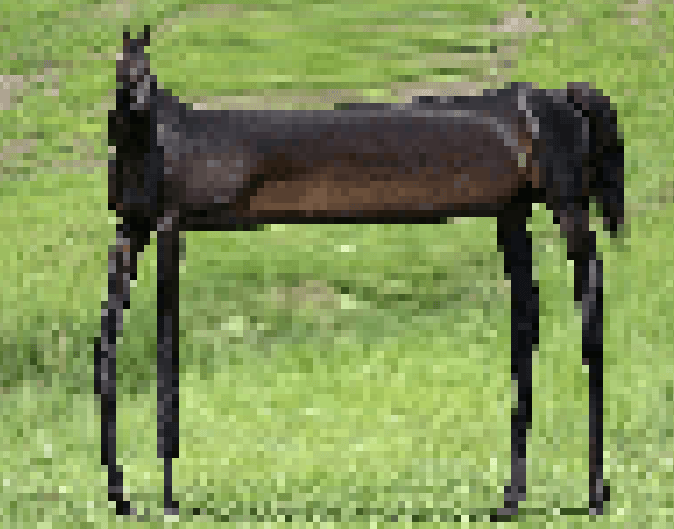 말딸 뾰이기관이 히토미미 꺼랑 다르단거 알고있음?