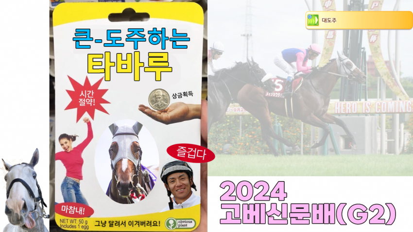 심플한 다음 경마 핫산 썸네일.png