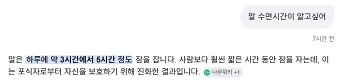 말딸 수면시간은 히토미미와는 다르다더라