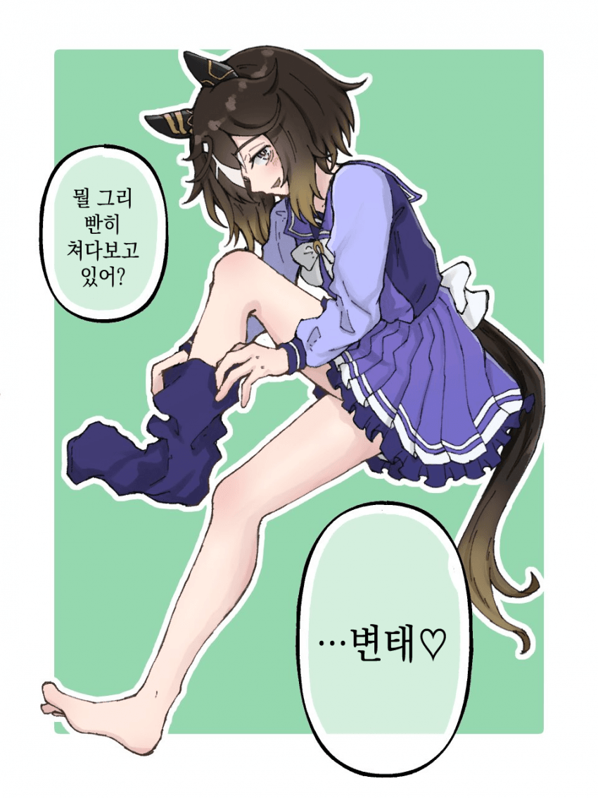 [ウィダー] 니 하이 삭스 스테고 씨