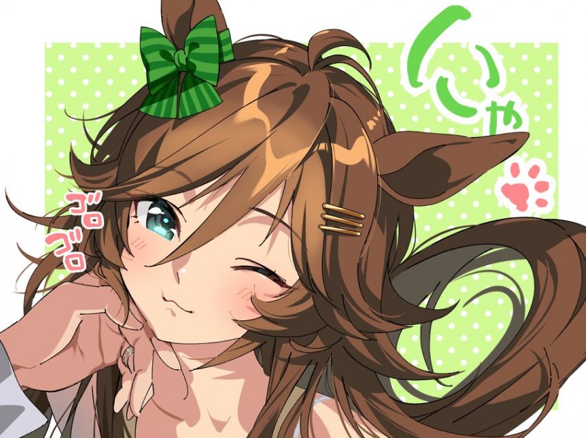 たろうまる) 고양이 시비.