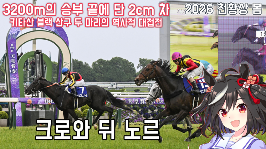 핫산) 크로와 뒤 노르 - 26 천황상 봄 「2cm」