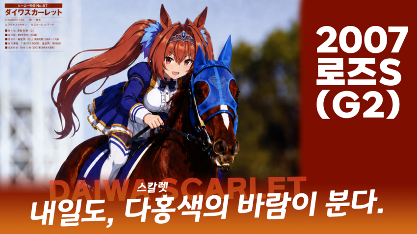 심플한 다음 경마 핫산 썸네일.png
